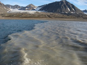 een grens tussen helder fjord water en gletsjermelk